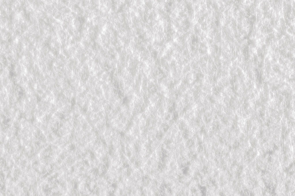 Filterflies_02_opt